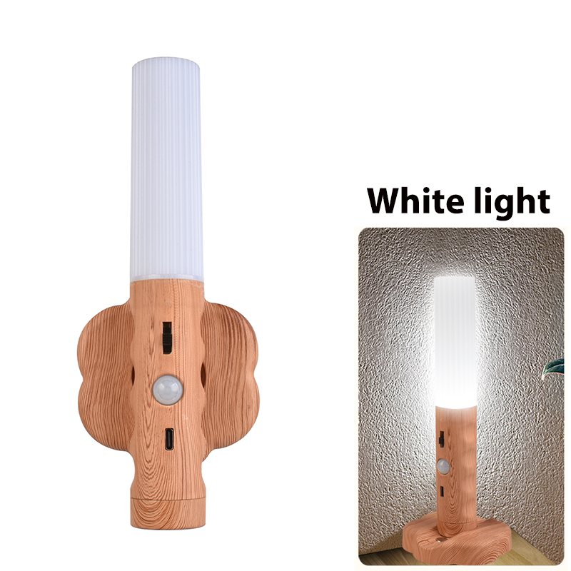 Bärbar LED-lampa